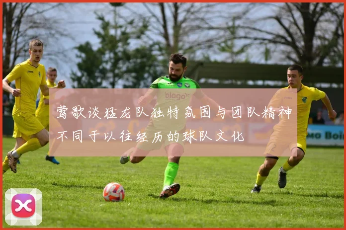 莺歌谈猛龙队独特氛围与团队精神不同于以往经历的球队文化