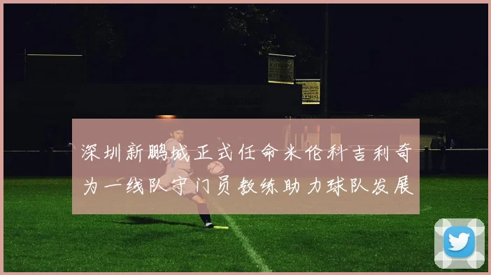 深圳新鹏城正式任命米伦科吉利奇为一线队守门员教练助力球队发展