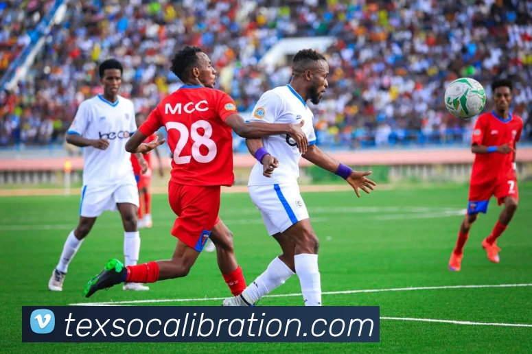 未来规划